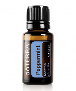 Peppermint (Pfefferminze) - Mentha piperita