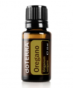 Oregano - Origanum vulgare